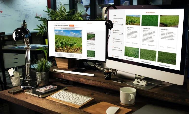 WooCommerce web design and development