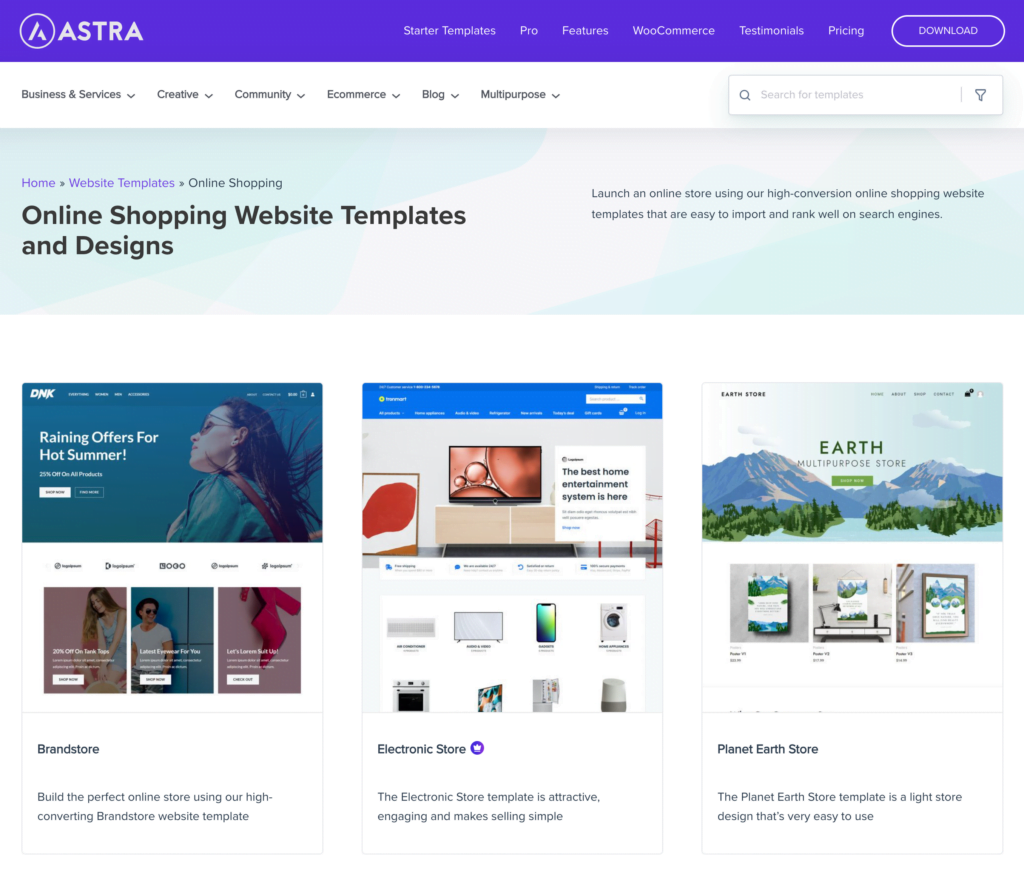 Astra WordPress theme examples