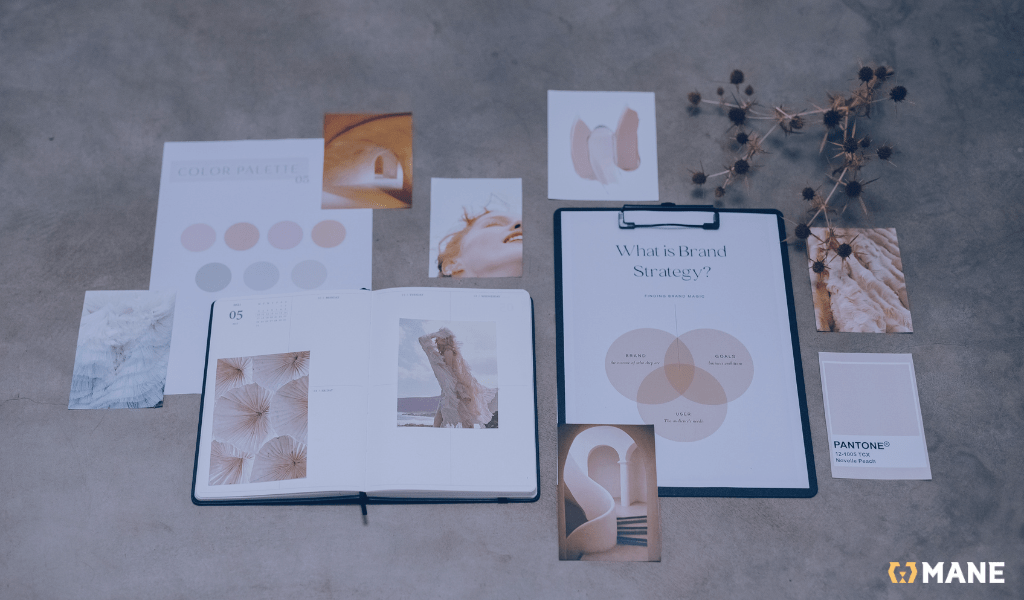 Choosing Branding Strategy and color palette