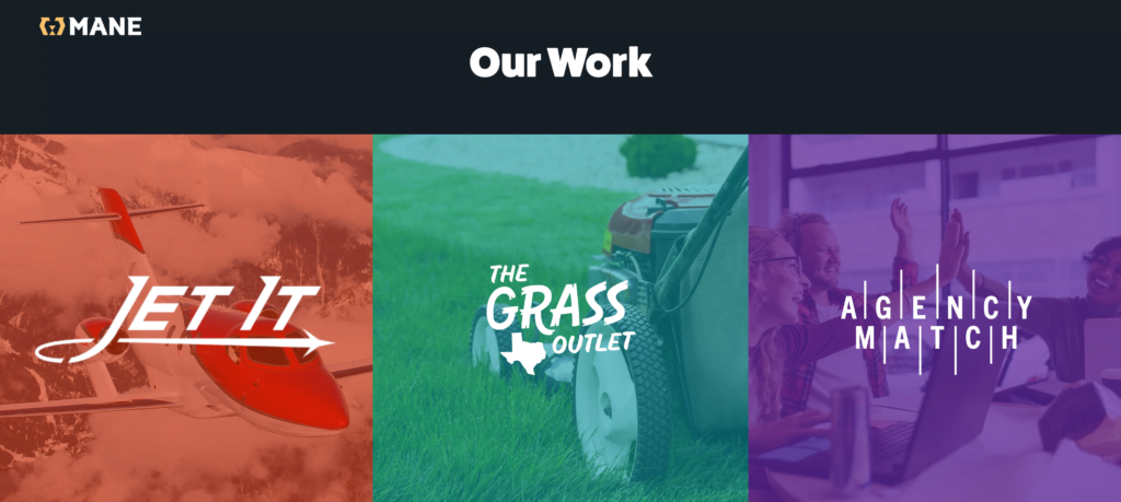 MANE digital portfolio
